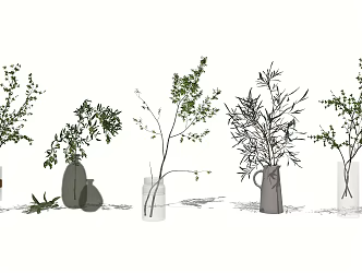 Modern Vase Green Plant Bonsai 3d model