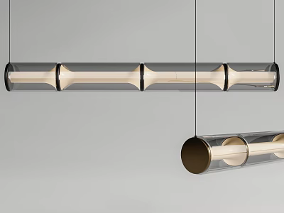 Modern Transparent Cylinder Pendant Light With Brass Accents And Hanging Design 3d model
