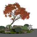 Japanese Garden Landscape With Red Leaved Tree Stones Green Shrubs And Lit Lantern