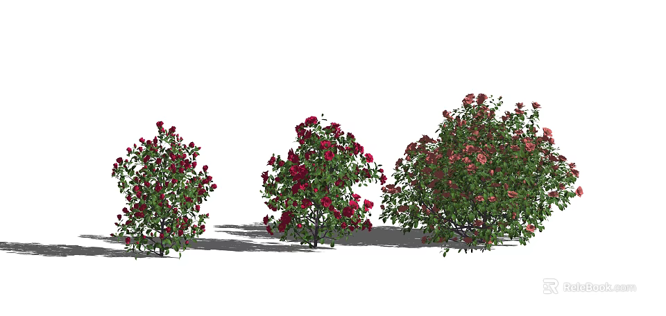 Beautiful Rose Bushes With Red And Pink Flowers And Lush Green Leaves 3d model 