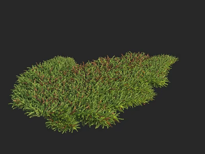 Vibrant Green Aquatic Plants With Red Accents Thriving In Water Habitat 3d model