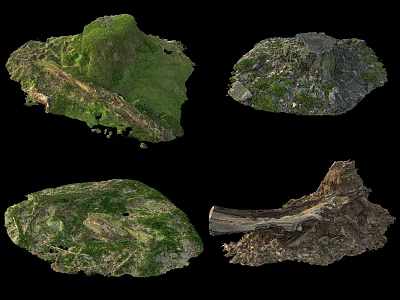 Natural Stone And Wood Terrain Models With Greenery And Detailed Textures 3d model