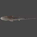 Detailed Realistic Shark 3D Model With Lifelike Features On Gray Background