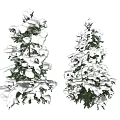 Two Tall Evergreen Trees With Snow Covered Branches And Green Foliage