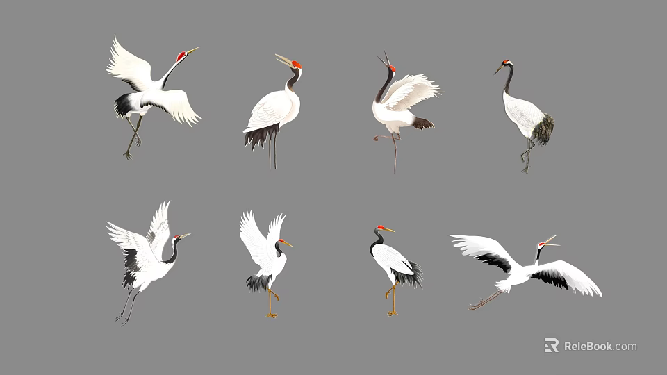 Various Flying Cranes Showing Different Poses With White Black Feathers And Red Crowns 3d model 