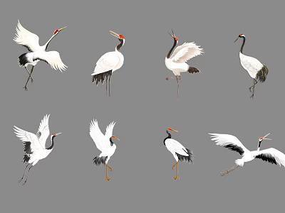 Various Flying Cranes Showing Different Poses With White Black Feathers And Red Crowns 3d model