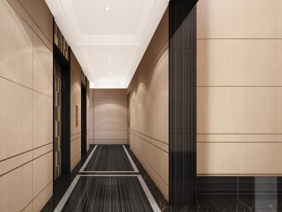 Modern Elevator Hallway Interior With Light Wooden Walls And Dark Frames 3d model