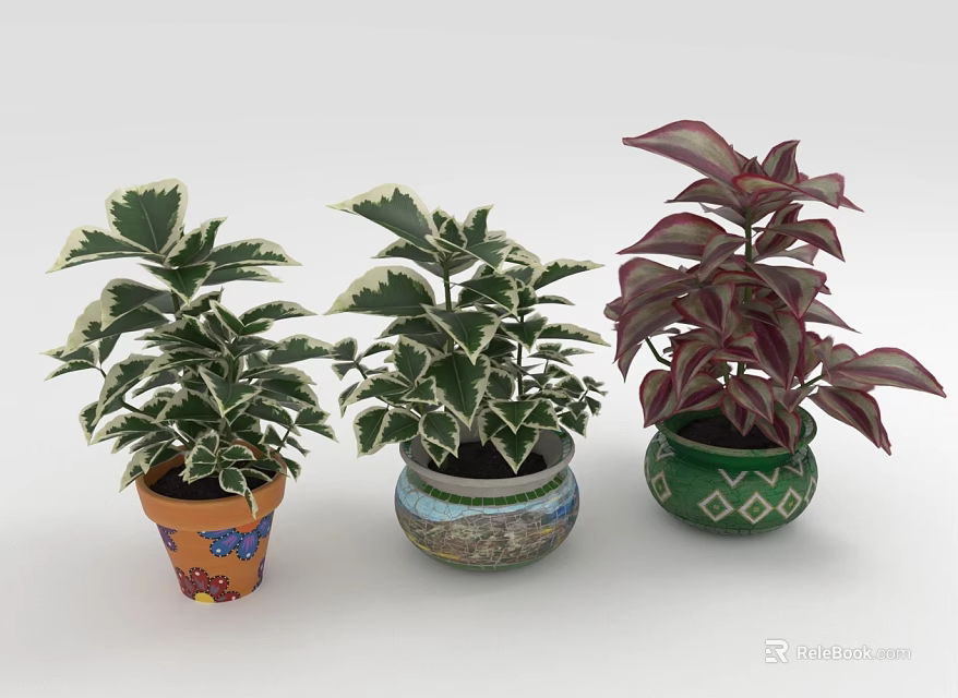 Indoor Leafy Plants in Colorful Decorative Planters with Green White Edged and Red Purple Leaves 3d model 