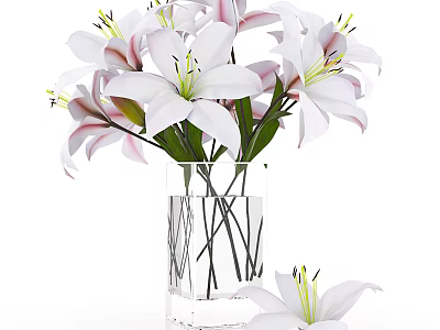 Transparent Square Vase with White and Pink Lilies Black Stems and Single Lily Beside 3d model