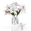 Transparent Square Vase with White and Pink Lilies Black Stems and Single Lily Beside