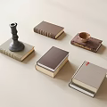 French Books 3d model