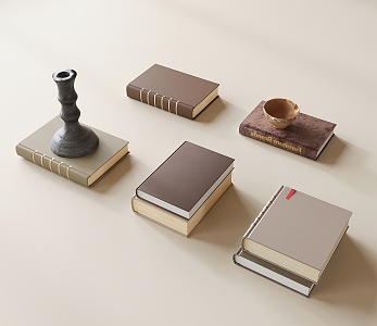 French Books 3d model