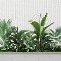 Green Plants Arrangement In Rectangular Planter With Textured White Wall And Gray Tiled Floor 3d model