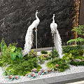 White Peacock Sculptures Indoor Landscape With Green Plants White Gravel And Dark Marble Wall