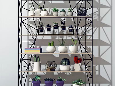Stylish Garden Decor Display On Multi Tiered Shelf With Various Succulents And Different Shaped Planters 3d model