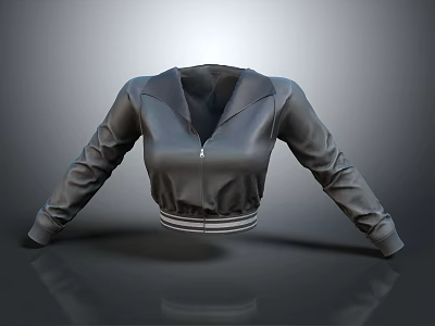 Sleek Black Cropped Jacket With Zipper Long Sleeves And Striped Hem 3d model