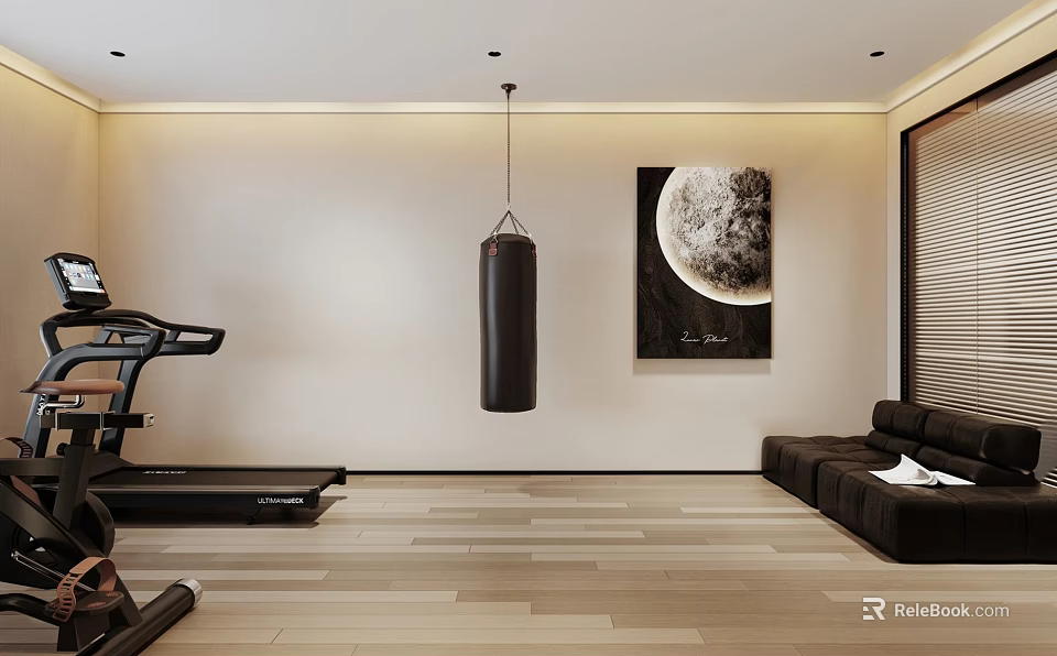 Modern Home Gym With Treadmill Punching Bag Artwork And Sofa 3d model 