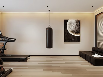 Modern Home Gym With Treadmill Punching Bag Artwork And Sofa 3d model