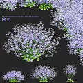 Symphyotrichum Oolentangiense Decorative Ornament Set With Purple Small Flowers And Green Leaves