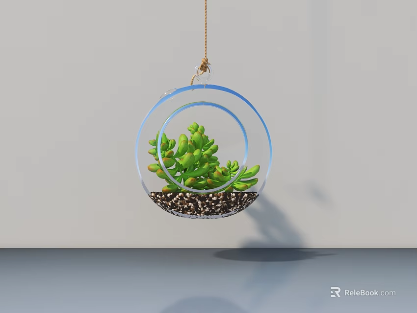 Transparent Circular Hanging Planter With Green Succulent Plants And Pebbles On White Wall 3d model 