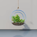 Transparent Circular Hanging Planter With Green Succulent Plants And Pebbles On White Wall