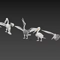 Pelicans In Various Postures Standing And Spreading Wings With White Gray Plumage