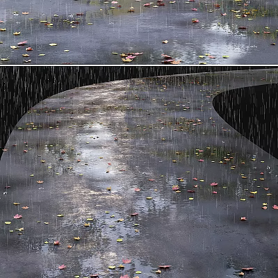 Wet Ground Scene In Rain With Fallen Leaves And Puddles 3d model