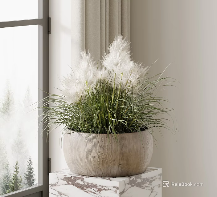 Bonsai Potted Plant with Wooden Pot on Windowsill Bright Lighting Outdoor Trees White Feathery Top 3d model 