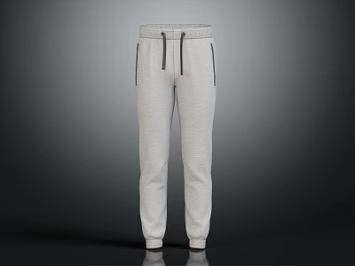 Gray Casual Joggers With Drawstring Side Pockets And Elastic Cuffs 3d model