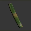 Green And Yellow Bamboo Stem With Smooth Texture Isolated On Dark Background