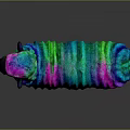 Neon Colored Fluffy Sheep With Vibrant Stripes And Glowing Effect On Dark Background