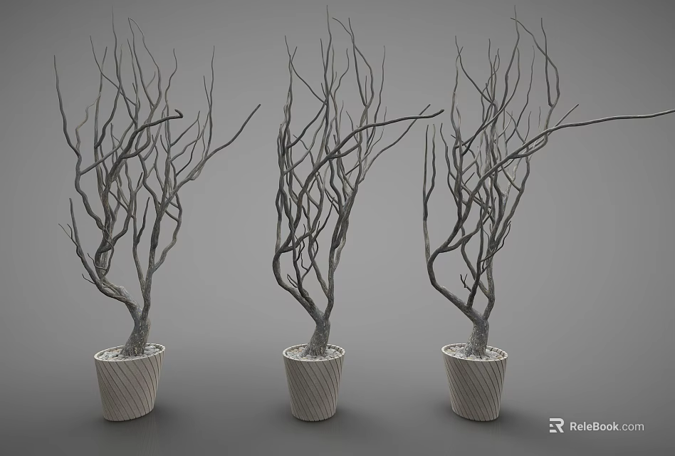 Decorative Ornament Set With Three Potted Leafless Branches In White Textured Pots 3d model