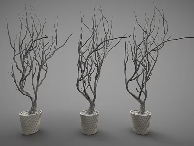 Decorative Ornament Set With Three Potted Leafless Branches In White Textured Pots 3d model