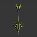 Mythical Monster Fish With Sharp Teeth Green Purple Body Yellow Fins And Antenna