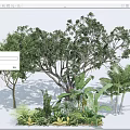 The Lush Arbor with Dense Foliage in Garden Featuring Palm Trees and Green Shrubs