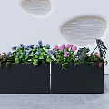 Black Rectangular Flower Planters With Blue Pink Hydrangea And Green Leaves In Modern Setting 3d model