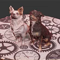 Two Small White And Black Dogs Sitting On Tablecloth With Gear And Clock Patterns 3d model