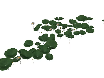 Beautiful Lotus Flowers And Green Leaves Floating On Calm Water Surface 3d model