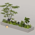 Indoor Mini Garden Setup With Rectangular White Container Tree Ferns Stones Pebbles And Round Light 3d model