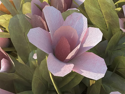 Vibrant Pink Flowers With Fresh Green Leaves In Natural Garden Bloom 3d model