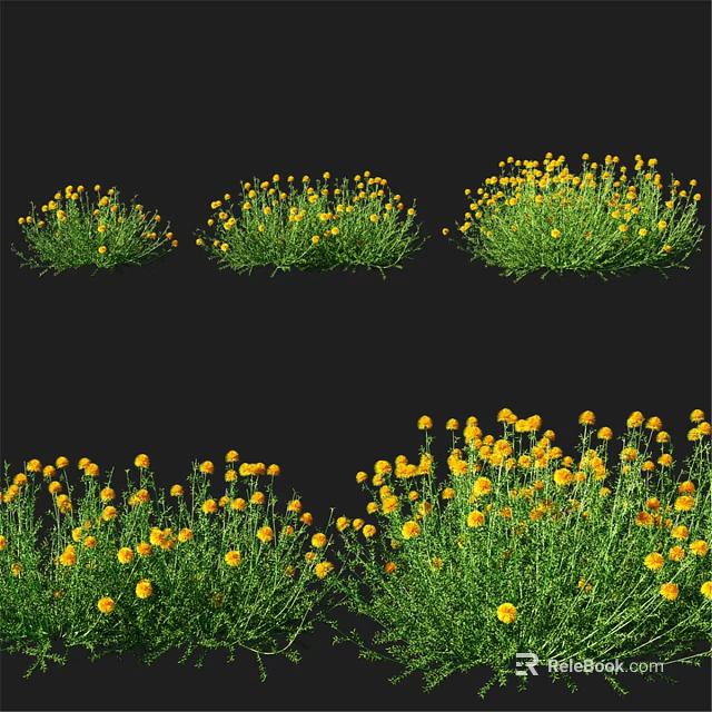 Decorative Ornament Set With Yellow Flowers And Green Grass Arrangements 3d model 