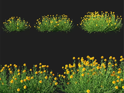 Decorative Ornament Set With Yellow Flowers And Green Grass Arrangements 3d model