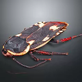 Cockroach With Black Brown Body White Spots And Red Legs On Dark Background