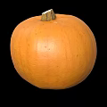 Single Ripe Fresh Orange Pumpkin Vegetable Isolated On Black Background