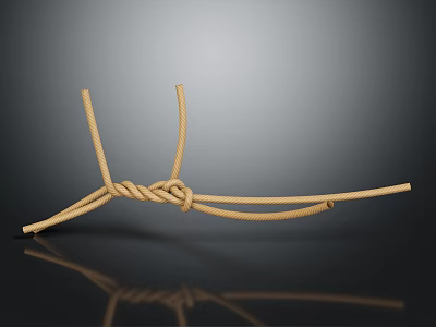 Beige Twisted Rope Knot Displayed On Dark Smooth Surface With Subtle Reflection 3d model