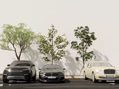 Three Luxury Cars Parked Near Trees On Street 3d model