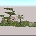 Various Types of Garden Shrubs with Greenery and Trees in Landscaping
