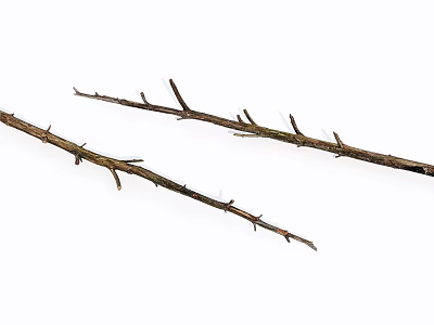 Natural Stone and Wood Branches for Rustic Decorative Projects 3d model