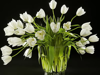 Elegant Transparent Glass Vase with Fresh White Tulips Against Black Background 3d model