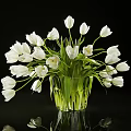 Elegant Transparent Glass Vase with Fresh White Tulips Against Black Background